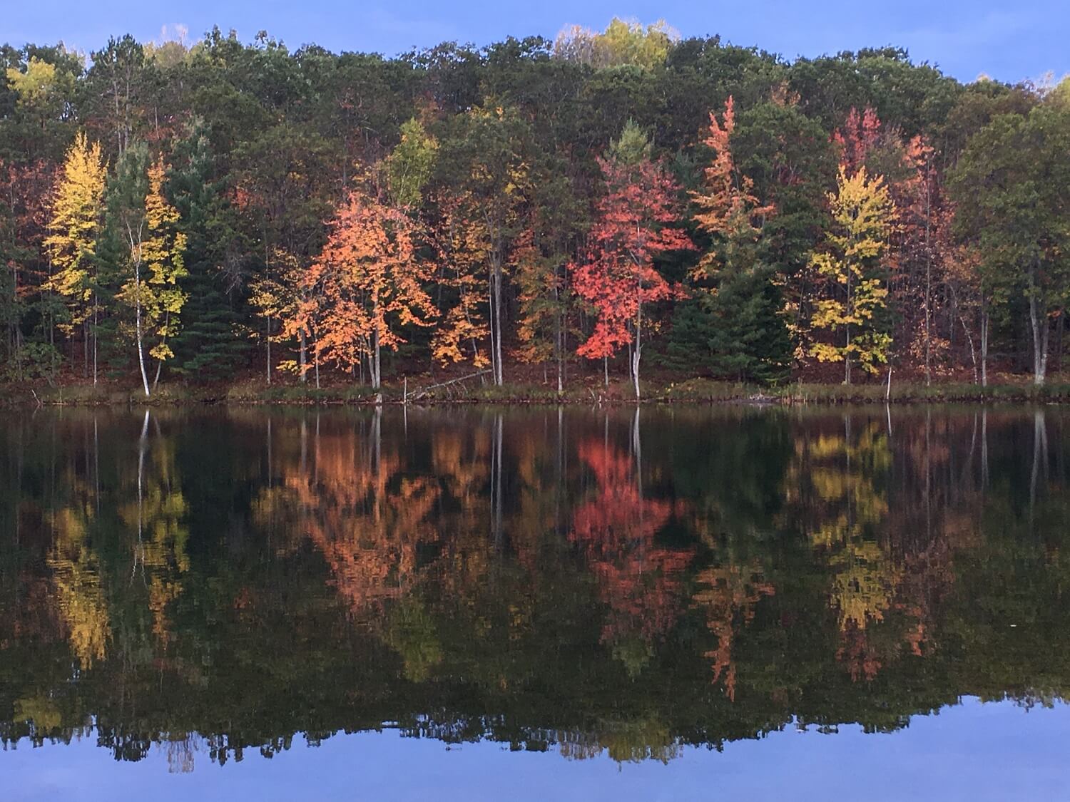 Abbott Lake House