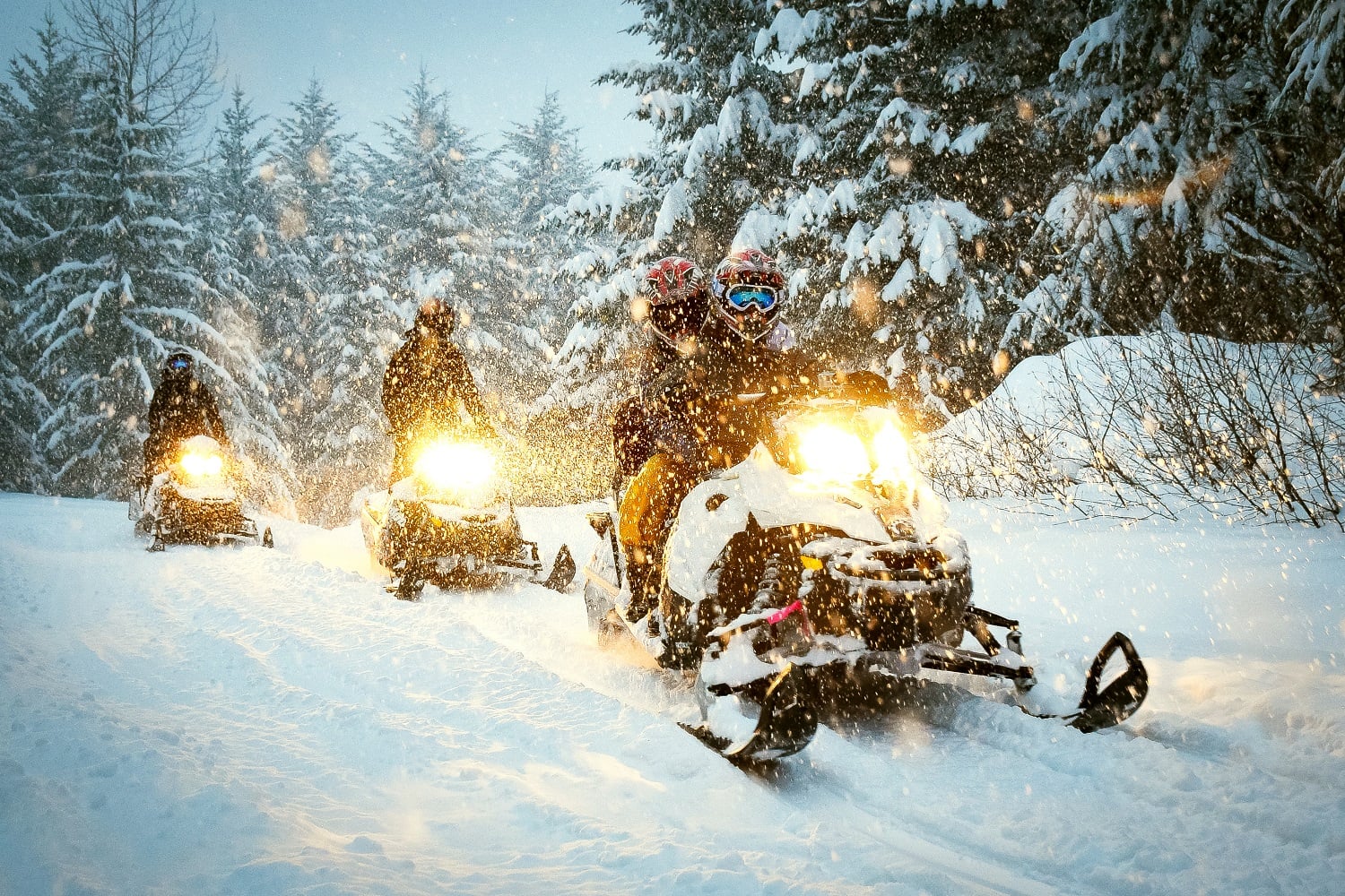 three snowmobiles riding through the woods