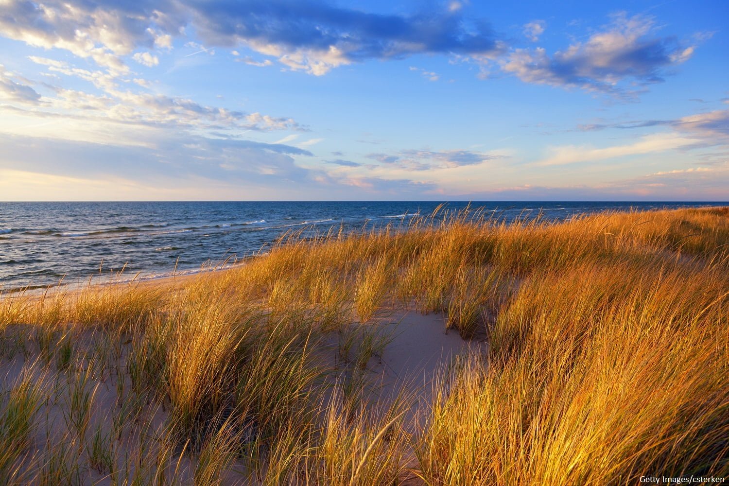 Dune Grass on Lake Michigan