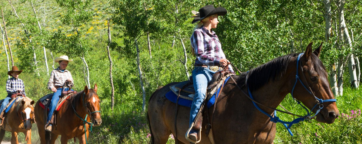 Experience the Adventure or Horseback Riding in Michigan