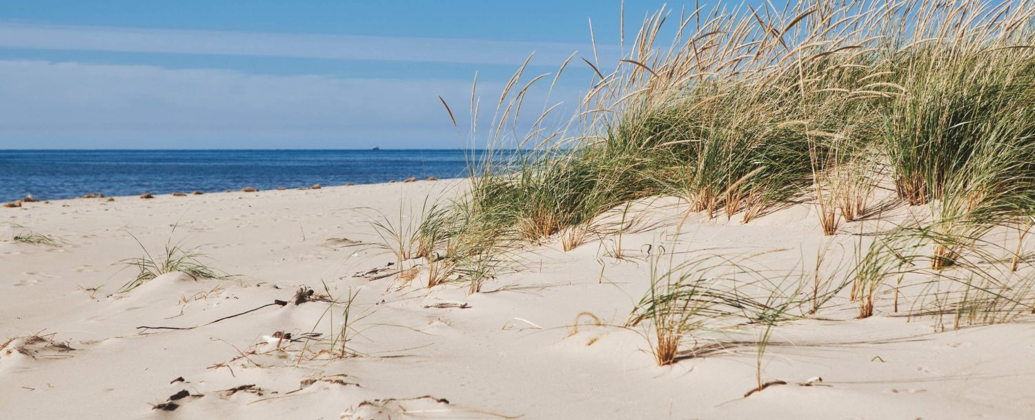 4 Great Beaches in Eastern Michigan to Visit